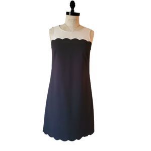 Ann Taylor LOFT Dress
